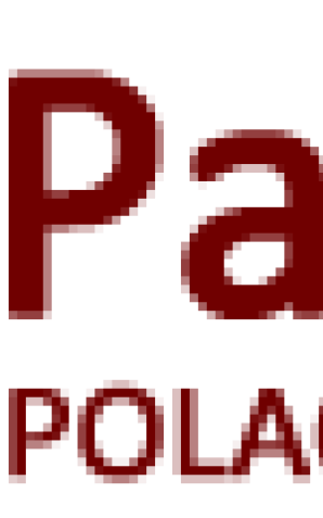 [VIDEO] 6-letnia Hania z Sosnowca zgodnie z prawem przejęta przez tatę. Pełny zapis dzisiejszej konferencji prasowej