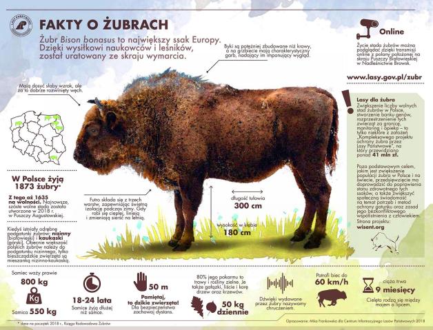 [VIDEO] Żubry zawitały w nowym domu